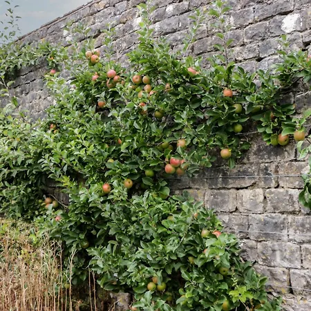 بيت للعطل The Old Kitchen غْرانج أوفار ساندس