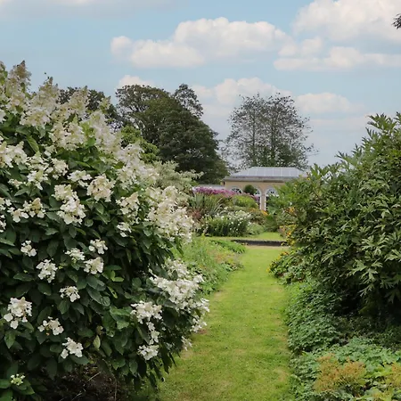 The Old Kitchen